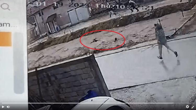 Momenti kur tre persona bien në lumë në Novi Pazar – dy vdesin (VIDEO)