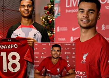 A do të shkëlqejë Gakpo te Liverpooli?