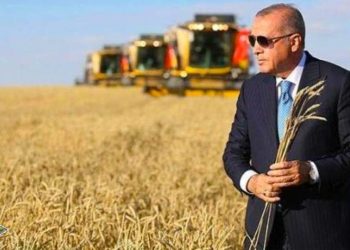 Pakistani propozon Presidentin Erdogan për Çmimin Nobel për Paqe