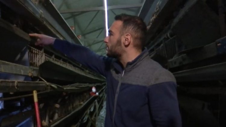 Vërshimet në Skenderaj, ngordhin mbi 10 mijë pula në një fermë