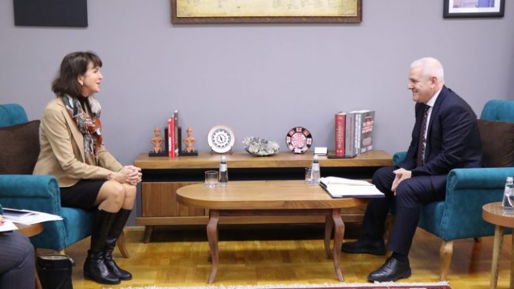 Sveçla takoi Koordinatoren e Kombeve të Bashkuara, e njoftoi për situatën në komuna ku kishte vërshime