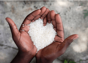 A na ruan bamirësia nga fatkeqësitë?!