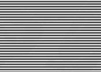 A mund ta gjeni kafshën e fshehur në foto për 11 sekonda?