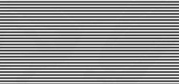 A mund ta gjeni kafshën e fshehur në foto për 11 sekonda?