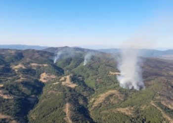Zjarri pushton fshatin në Pogradec, tymi mbulon zonën
