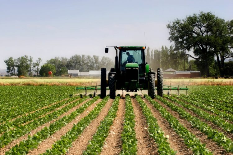 Hapet aplikime për subvencione në bujqësi, ministri Peci jep detaje