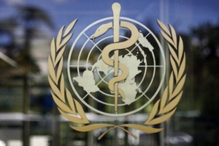 ​OBSH angazhohet për të mbështetur popullin sirian