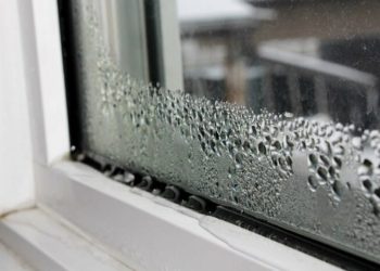 ​Këto janë sëmundjet që shkakton lagështira në shtëpi