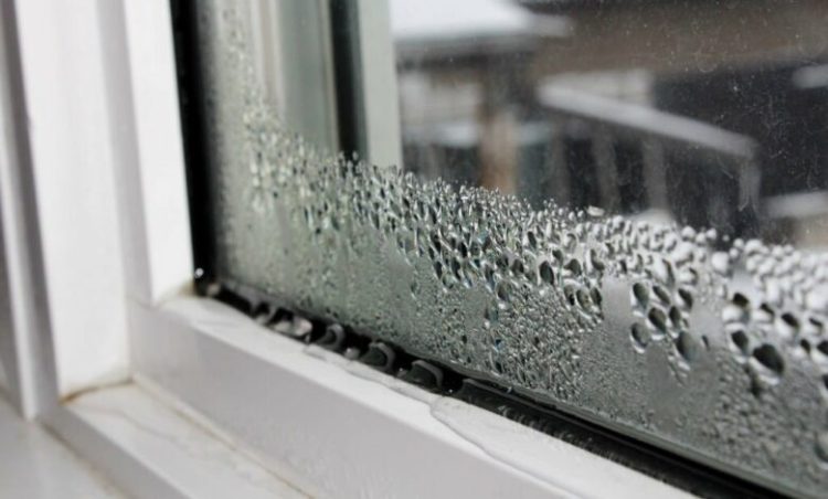 Këto janë sëmundjet që shkakton lagështira në shtëpi