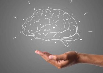 Studimi: Këto janë fazat kur truri fillon të plaket