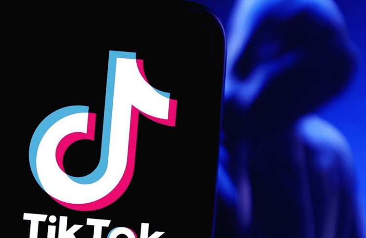 Franca ndalon përdorimin e TikTok për nëpunësit civilë