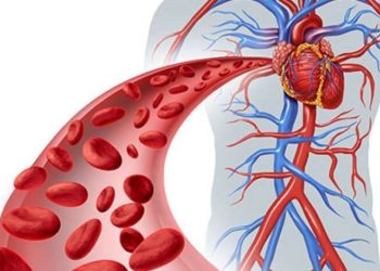 2 ushqimet kyçe që parandalojnë mpiksjen e gjakut