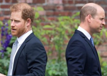 Zbulohet arsyeja pse u takuan papritur William dhe Harry