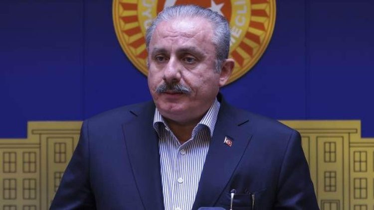 Kryeparlamentari turk Şentop reagon ndaj pritjes së anëtarëve të PKK/YPG-së në Senatin francez