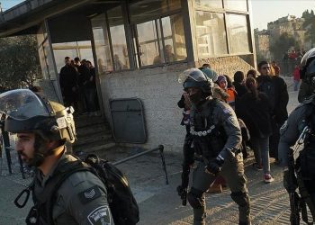 Forcat izraelite arrestojnë 21 palestinezë, përfshirë edhe 3 fëmijë