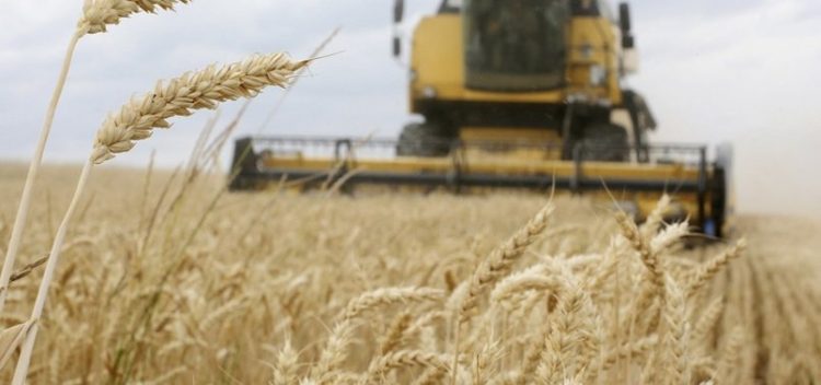 Pas Polonisë dhe Hungarisë, Sllovakia ndalon importet e grurit nga Ukraina