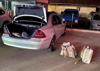 Falsifikuan para e shpërndanë narkotikë, arrestohen tre persona