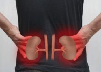 Nëse keni problem me veshkat këtë frut mos e konsumoni