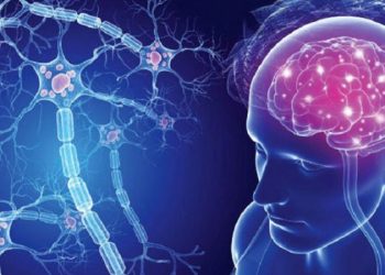 Zakonet më të këqija që dëmtojnë shëndetin e trurit