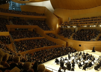 Çfarë ishte zëri misterioz që u degjua gjatë koncertit në Los Angeles?