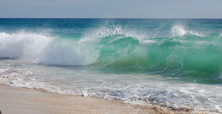 Uji i kripur i detit, lista e përfitimeve shëndetësore