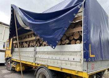 Policia del me njoftim: Ndaluam kontrabandimin e një kamioni me dru