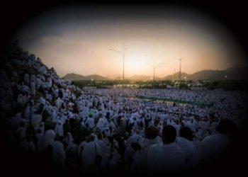 PLAKA TË CILËS IU KTHYE SHIKIMI NË ARAFAT