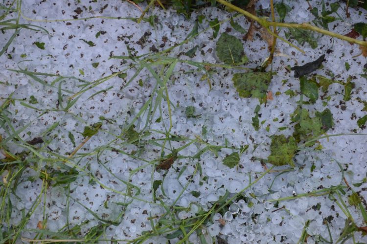 Dëme të mëdha nga breshëri në Malishevë