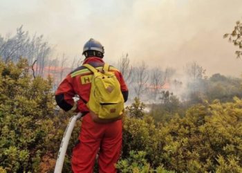 450 zjarrfikës dhe 7 avionë nga vendet e BE-së në ndihmë Greqisë për shuarjen e zjarreve