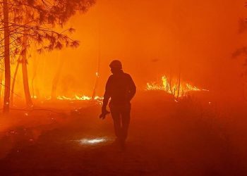 I riu musliman shpëton 17 persona nga zjarri në Francë, përfshirë një foshnjë