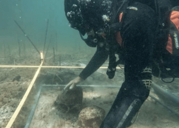 Ja pse në Shqipëri mund të fshihet fshati “më i vjetër në Evropë”
