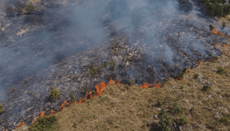 Kastriot, I vënë flakën arës në Hade, dëmtohen mbi 1 mijë trupa të arrave