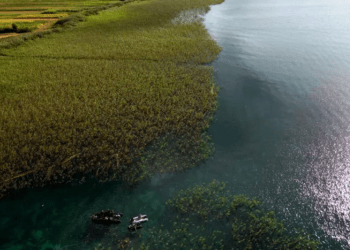 Mediumi amerikan shkruan për “fshatin 8500-vjeçar të zbuluar nën liqenin shqiptar”