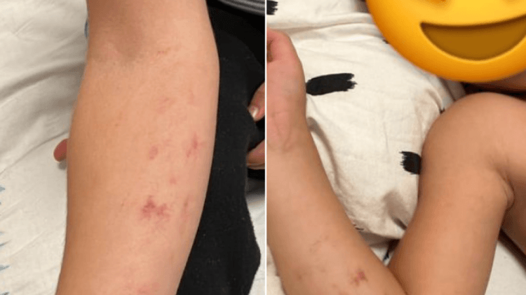 U rrahë nga tri edukatore, publikohen pamjet se si u lëndua trevjeçari në një kopsht në Fushë Kosovë (video)