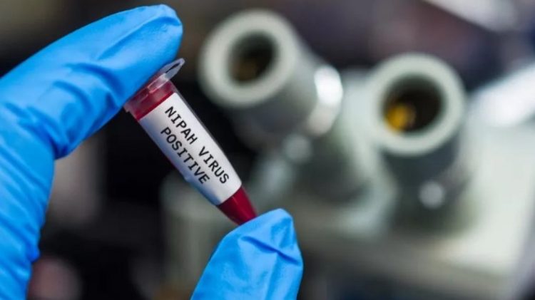 Alarm në Indi, viktima të reja të një virusi i cili ka një shkallë të lartë vdekshmërie