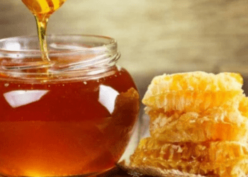 Këtë nuk e keni ditur! Si të përdorni mjaltin që të mos plakeni