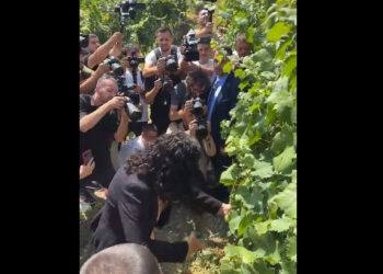 Rahovec: Osmani hap Hardh Fest-in me ceremoninë e prerjes së kalaveshit të rrushit (VIDEO)