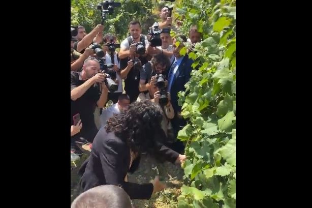 Rahovec: Osmani hap Hardh Fest-in me ceremoninë e prerjes së kalaveshit të rrushit (VIDEO)