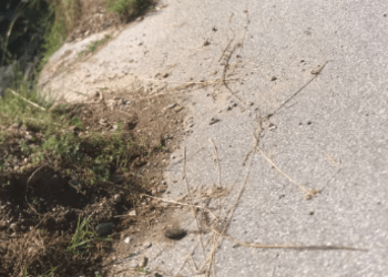 Rruga që lidh tri fshatrat e Podujevës është ngushtuar nga rrëshqitjet e dheut, pemët e barishtet