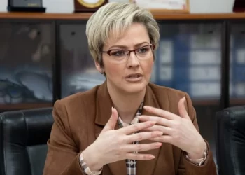 Sinani: Për herë të parë problematika e Luginës së Preshevës ka arritur në majat e diplomacisë