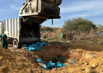 Policia dhe AUV-u gjejnë dhe asgjësojnë 2000 kg mish me afat të skaduar