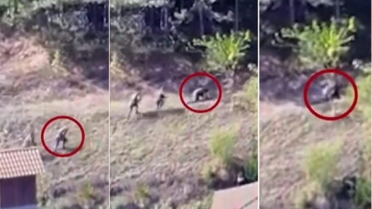 Terroristët serbë derisa po iknin nga zona malore në Banjskë, e lanë mikun e tyre të plagosur – as që e kthyen kokën ta shohin si është