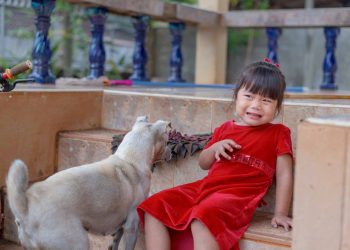 Çfarë duhet të dini për kinofobinë apo frikën nga qentë?