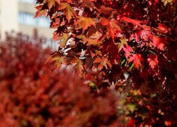 Vikend me diell në Kosovë