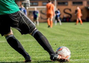 Shkencëtarët irlandezë zbuluan: Portierët e perceptojnë botën ndryshe