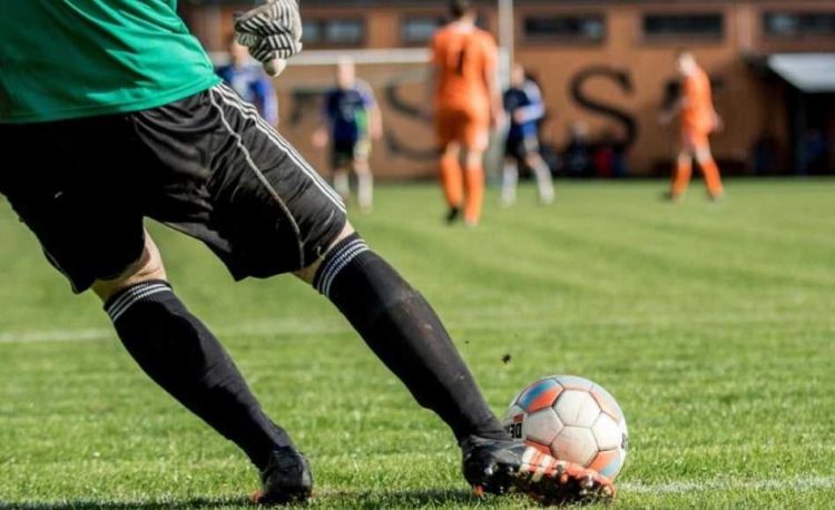 Shkencëtarët irlandezë zbuluan: Portierët e perceptojnë botën ndryshe