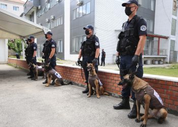 Policia blen tetë qen, i kushtojnë 45 mijë euro