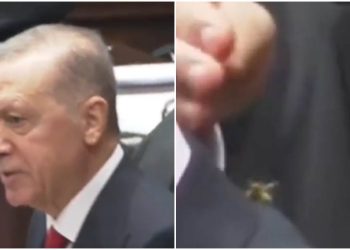 Momenti epik, roja e sigurisë shpëton Erdoganin nga grerëza – hoqi insektin nga shpina dhe e shtypi me këmbë