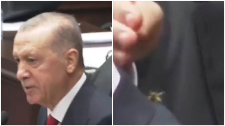 Momenti epik, roja e sigurisë shpëton Erdoganin nga grerëza – hoqi insektin nga shpina dhe e shtypi me këmbë