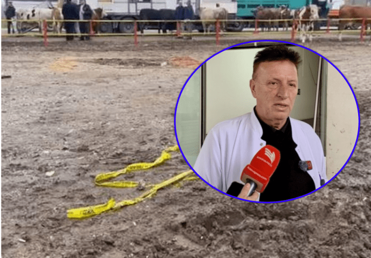 Gjuajtja e granatës në Prizren: Njëri nga të plagosurit i nënshtrohet intervenimit, mjeku tregon për gjendjen e tyre